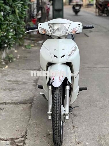 Wave 50 cc đời 2024 không cần bằng lái đẹp