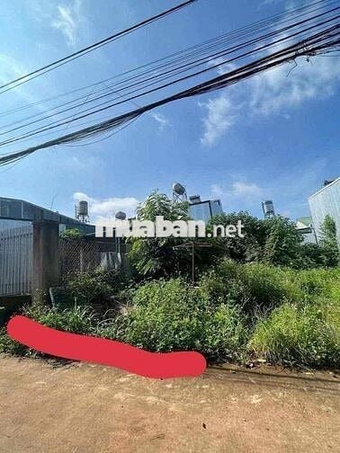Đất hẻm ymoal chưa qua vành đai rẻ nhất Tân Lợi