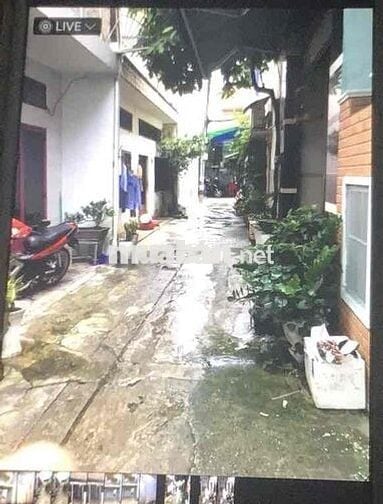 cho thuê nhà nguyên căn phường 16 gò vấp