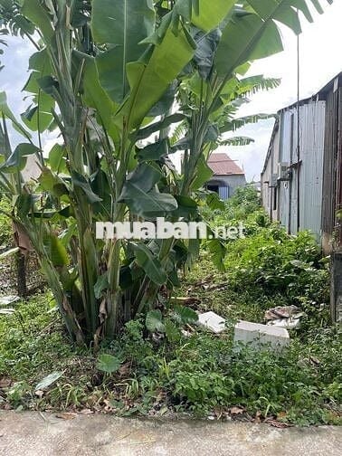 ✅ CHÍNH CHỦ CẦN TIỀN NÊN BÁN LÔ ĐẤT SIÊU ĐẸP - SIÊU LƯỚT. GẦN NGAY CHỢ