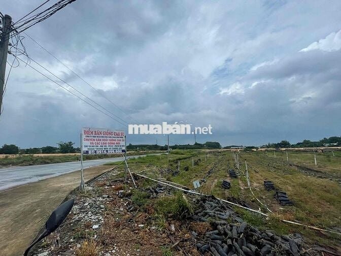 Ngân Hàng Thanh lý cắt Lỗ  với 200m2 ngay thị trấn Chơn Thành