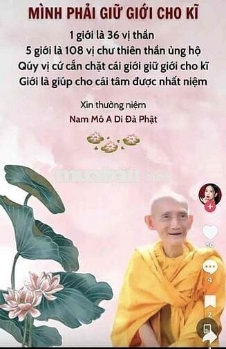 cho thuê mặt bằng khu trung sơn liền kề himlam
