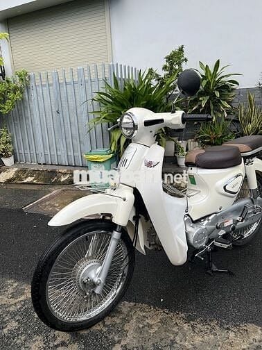 💥💥💥 Cub 50cc 💥ĐK 2024 Biển Sổ TP💥CÓ BẢO HÀNH💥💥💥