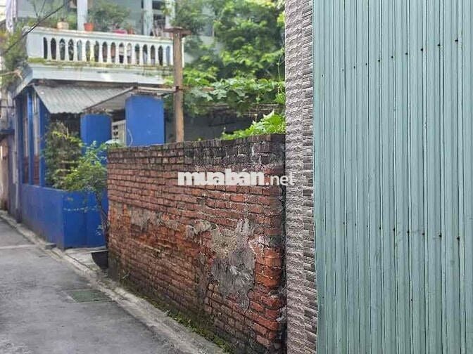 Bán đất 60m Trâu Quỳ, Gia Lâm, đường ô tô tránh đỗ ngày đêm