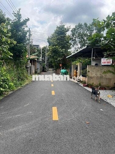 chính chủ bể ngộp miếng đất lô góc 2 mặt tiền siêu đẹp