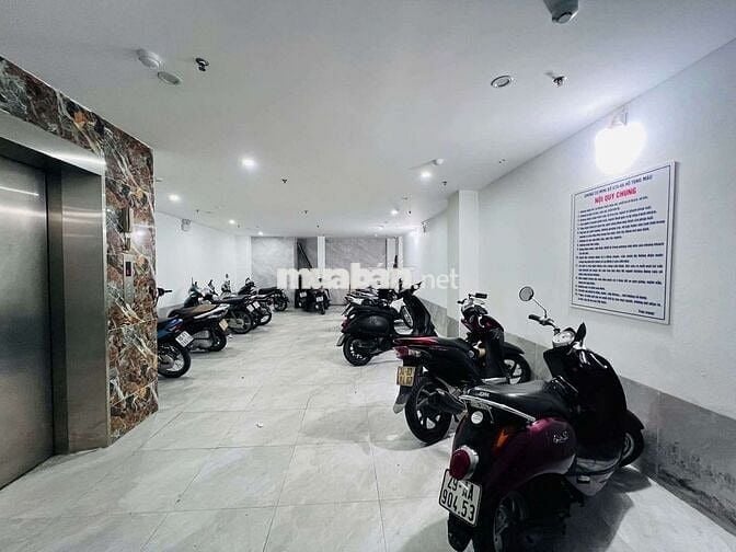 Bán CHDV đẻ trứng vàng  phố hồ tùng mậu