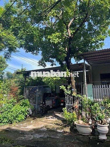 Bán đất tặng nhà c4 MT Xuân Thiều 11