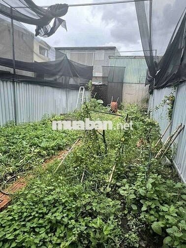 THỬA ĐẤT TL10- 610 TỜ 25- 87M2- ĐƯỜNG ÔTÔ TẢI- SỔ VUÔNG- CHỈ 5.4TY