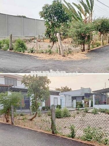 BÁN ĐẤT THỔ CƯ 430M2 550TR 2 MẶT TIỀN ĐƯỜNG NHỰA (CÓ SỔ HỒNG RIÊNG)