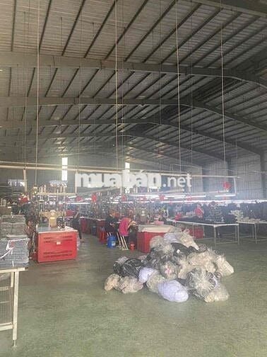Xưởng Thuận An 2300m Có PCCC Vách Đường Cont + Trạm Điện