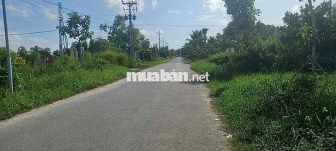 🌟 BÁN 9,6 CÔNG ĐẤT MẶT TIỀN LÂM QUANG KY – Cách đường 3/2 1km