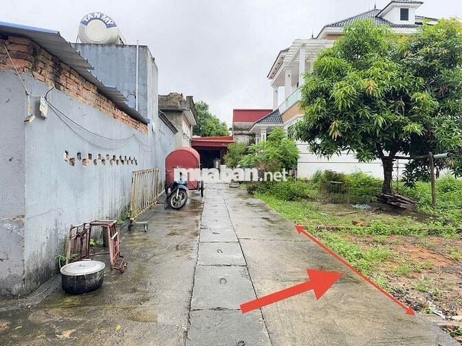 Bán đất thôn Đức Hậu, Thanh Lâm, Mê Linh. Gần chợ đầu mối hoa quả lớn