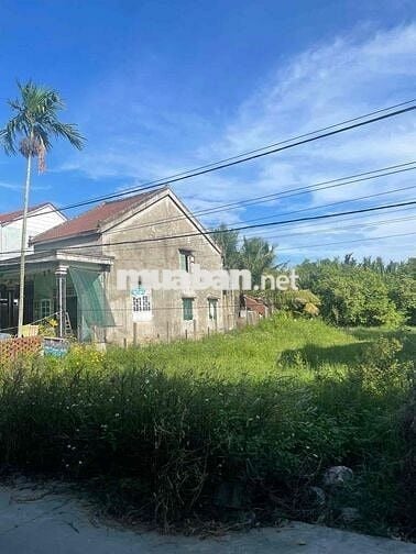 ♨️ BÁN ĐẤT - NGAY TRUNG TÂM PHỐ CỔ HỘI AN - DIỆN TÍCH RỘNG -  ĐƯỜNG LỀ