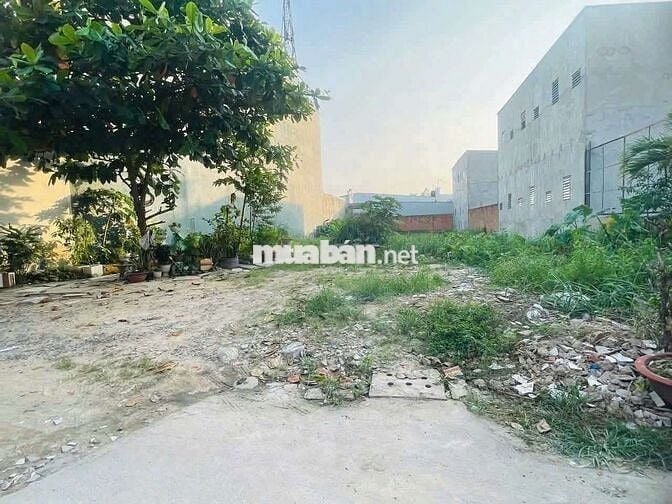 Đất thổ cư 1/Bùi Thị Lùng-Thới Tam Thôn-Hóc Môn.Dt 640m2~11,5ty