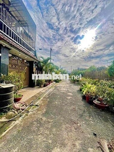 Kho Xưởng 10X25 Tân Hiệp Hóc Môn Giá Rẻ