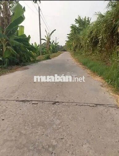 Bán GẤP ĐẤT THỔ CƯ SỔ RIÊNG ngay tại ỦY BAN Phường Bình Lộc Đồng Nai
