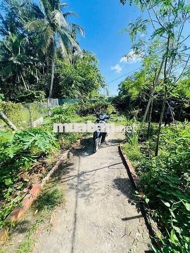 Bán nền rộng 350m2 hẻm bờ kè gạch cam giá chưa tới 1 tỷ