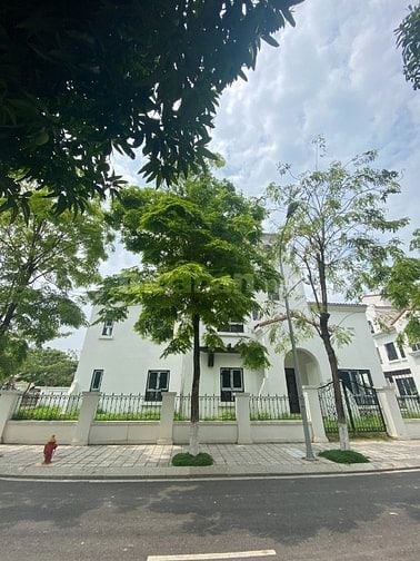 Bán căn Biệt thự 500m2 khu Hồ lớn Nam An Khánh