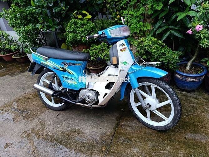 Max 50cc bstp