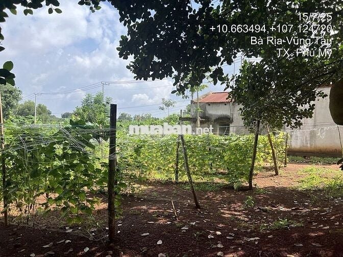 Thanh lý lô đất 2 mặt tiền 1.431m2 tại Hắc Dịch