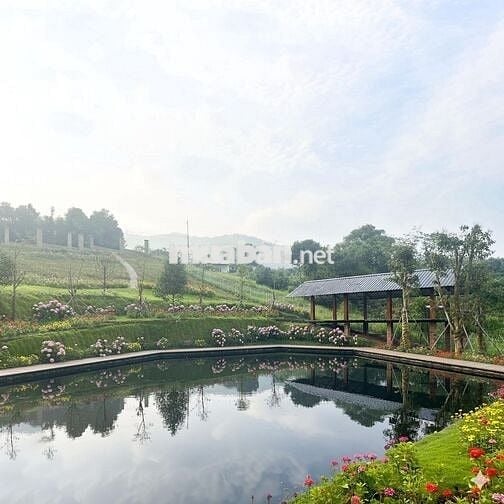 Đất nền Lộc Đức- Điểm đến an cư & Sinh lời.