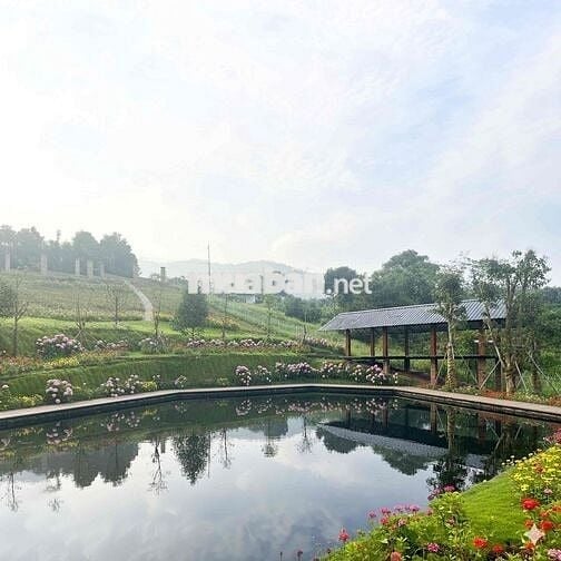 😍ĐẤT THỔ CƯ NGHỈ DƯỠNG – VIEW HỒ CỰC ĐẸP, KHÍ HẬU MÁT MẺ