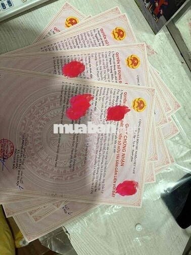 Bán CCMN Có Sổ Đồng Sở Hữu, Ô Tô đỗ - Thái Hà Đống Đa