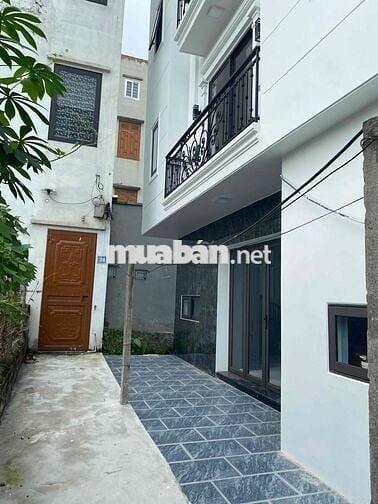 HIẾM NHẤT - ĐẸP NHẤT - GIÁ MỀM NHẤT PHÚC LỢI