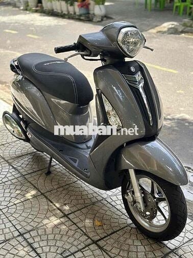 🌈Grandle cực đẹp máy rin siêu êm - CÓ TRẢ GÓP