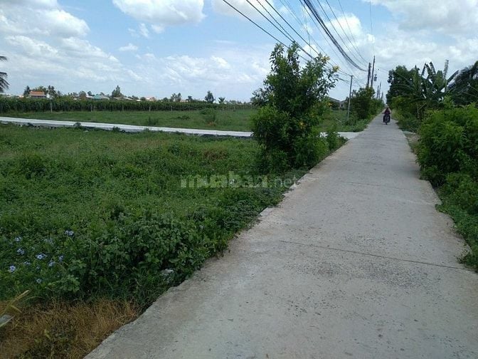 Cần bán gấp đất thổ cư, đường xe ô tô, sổ hồng riêng