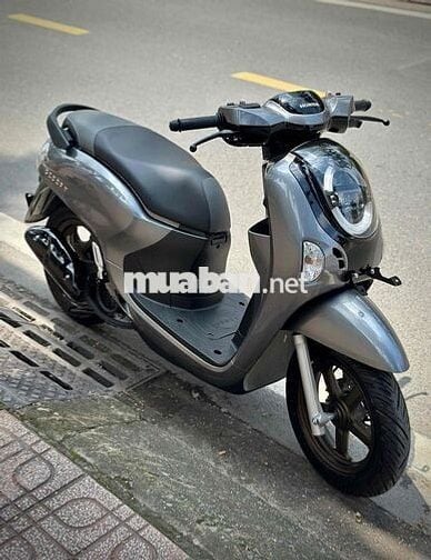 Scoopy 110i New 2025 Giá Cực Tốt