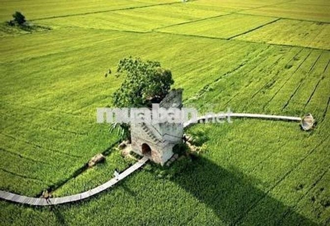 Chính chủ cần tiền bán nhà gác lững gần sông Thu Bồn