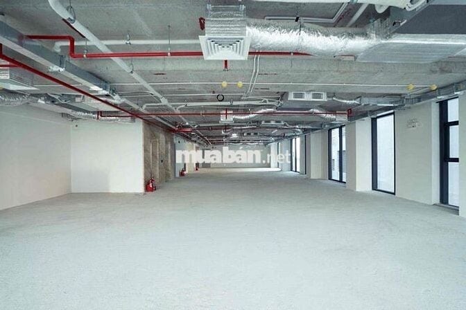 Siêu phẩm 800m Full Nội thất Mặt tiền Khu phức hợp dịch vụ . Gò Vấp
