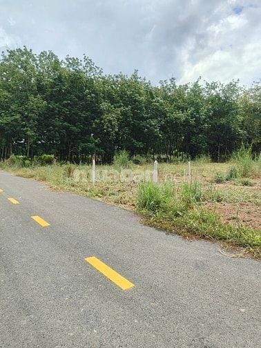 CẦN BÁN GẤP lô thổ cư, mặt tiền đường nhựa, dân cư đông đúc