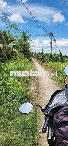 Bán đất Thổ Cư 125m2 Thanh Phú Long Long An
