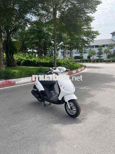 ZIP 100cc zin chất cần bán