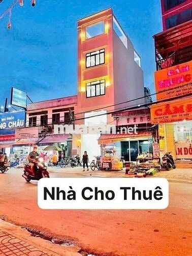 Cho Thuê Nhà Mặt Tiền Thống Nhất, P.16 Gò Vấp🤝
