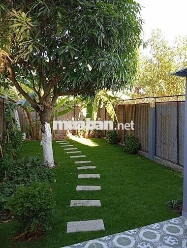 Nhà mới xây 2PN,3WC,100m2 tại 499 Đào Sư Tích, 11 triệu, có sân vườn