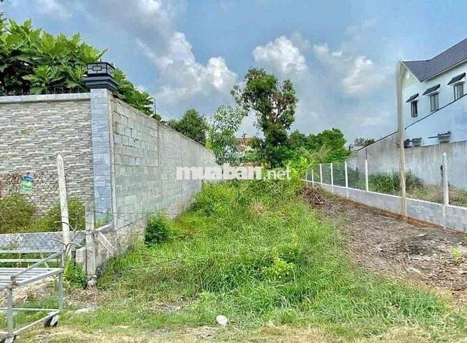 Chính Chủ Bán Gấp MT Kinh Doanh 240m2 (8x30) Giá 520Tr