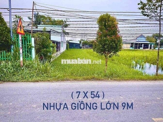 Đất Mỹ Hạnh Nam 7x55m giá 2ty650 đường nhựa