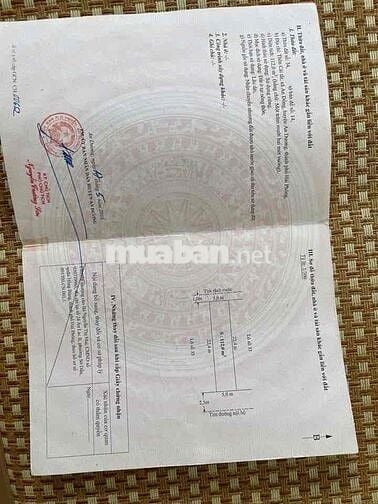 🏡 BÁN ĐẤT 112.5m² – MT 5m – CÁI TẮT, AN ĐỒNG, AN DƯƠNG – GIÁ 4,48 TỶ