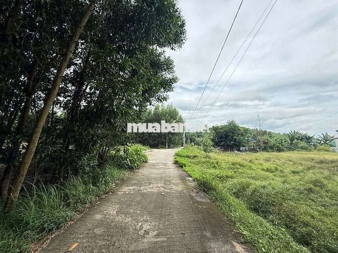 Bán lô đất diện tích lớn gần 1000m2 tại xã Hòa Vang