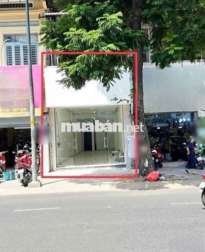 Cho Thuê Nhà Đường Đinh Tiên Hoàng, Quận 1 (4x20m - Nhà Suốt Đẹp Rộng)