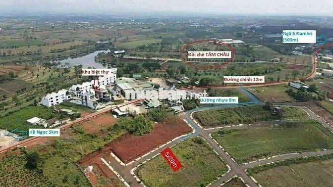 ĐẤT NỀN GIÁ NGỘP NGAY ĐỒI CHÈ TÂM CHÂU