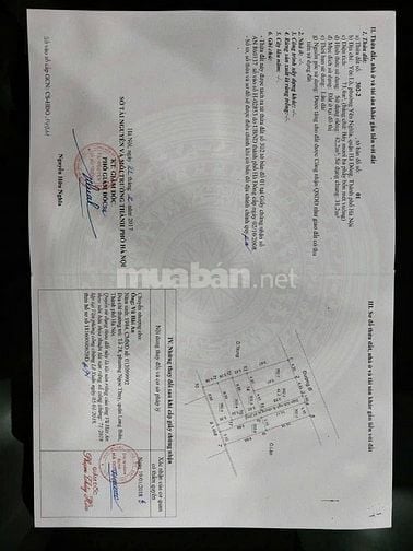 🤝 Chính chủ bá.n lô góc trục chính Tổ 13 Yên Lộ Yên Nghĩa