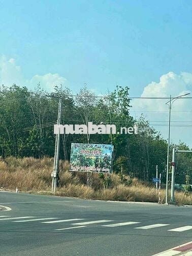 lô đất hơn 1 ngàn m2 tại bình mỹ bắc tân uyên