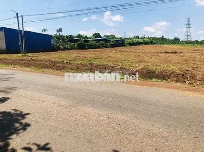 Bán gấp lô đất 200m² full thổ cư 100m² - Sổ hồng riêng