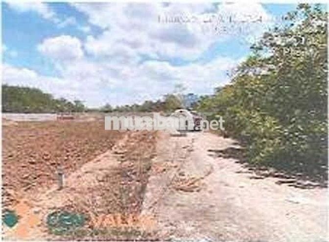 Bán ĐGTS đất tại Ấp Cầu Ri, phường Tân Thành, TP. Hồ Chí Minh