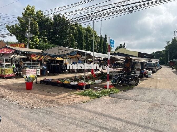 Bán Đất Ngay Chợ, Diện tích 355m2 Thổ Cư, Ngang 10met Ngay đường DH507