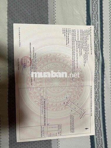 Đất nền ấp 6 sông trầu cũ(xã TrảngBom mới) 850triệu 1 sẹc Nguyễn Hoàng